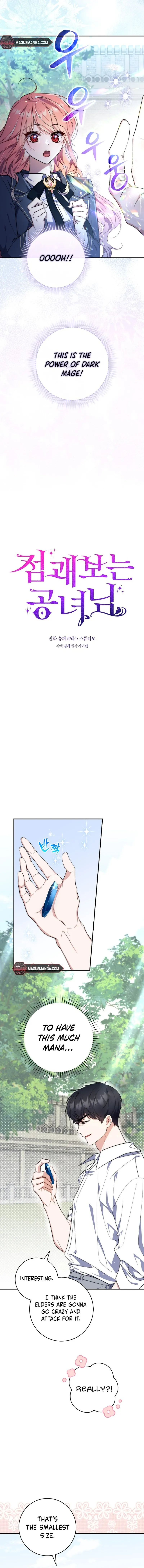 A Fortune-Telling Princess Chapter 29 Page 27