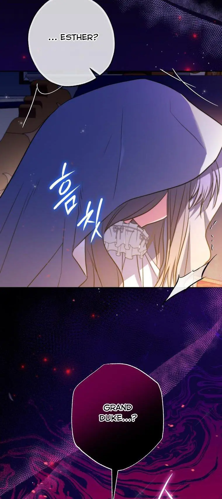 The Archduke's Adopted Saint Chapter 12 Page 45