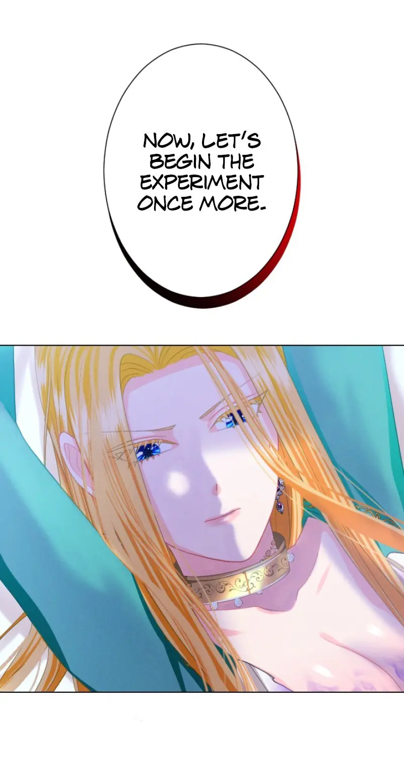 A Secret Contract and the Stallion Sage Chapter 54 Page 13