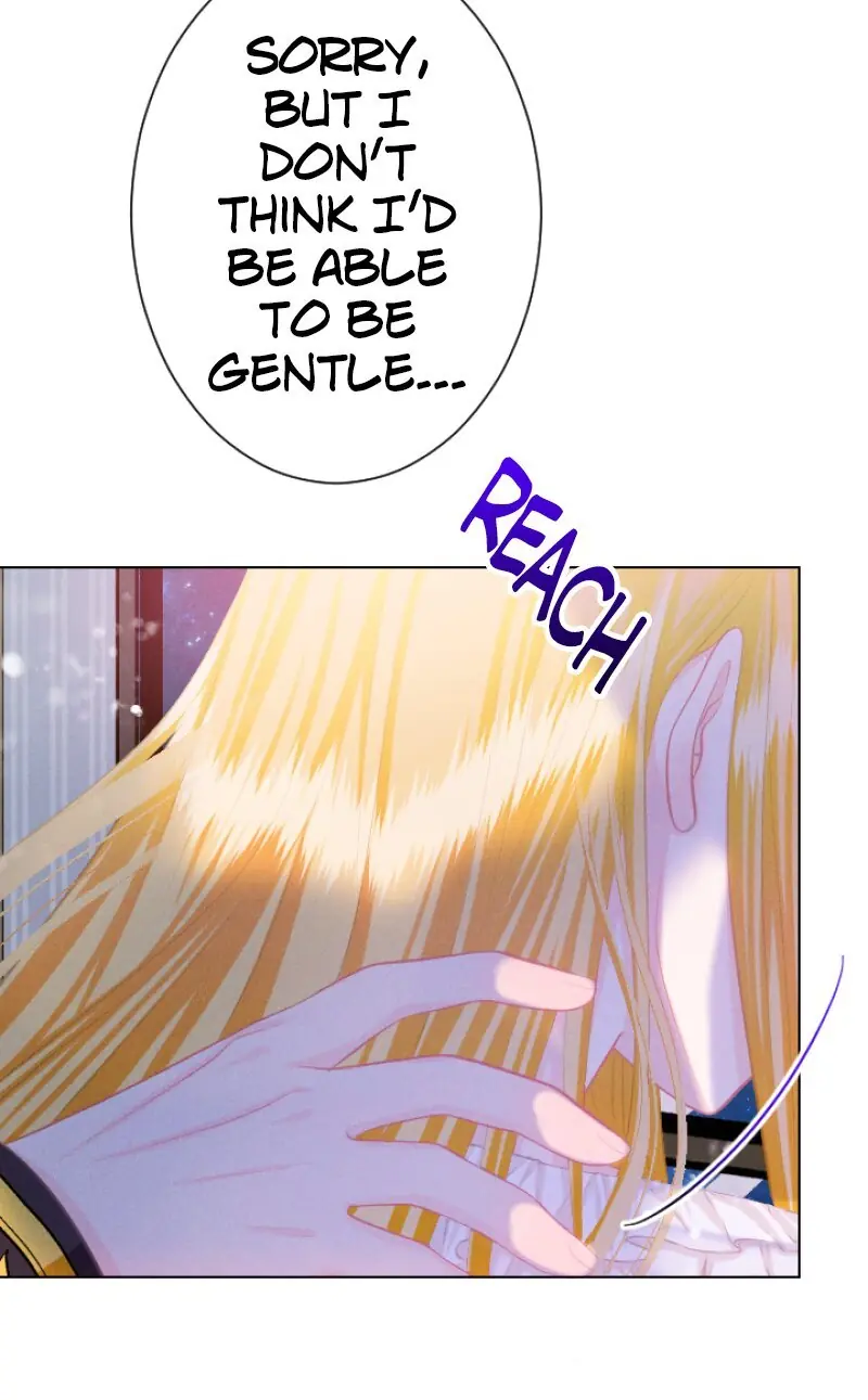 A Secret Contract and the Stallion Sage Chapter 56 Page 19