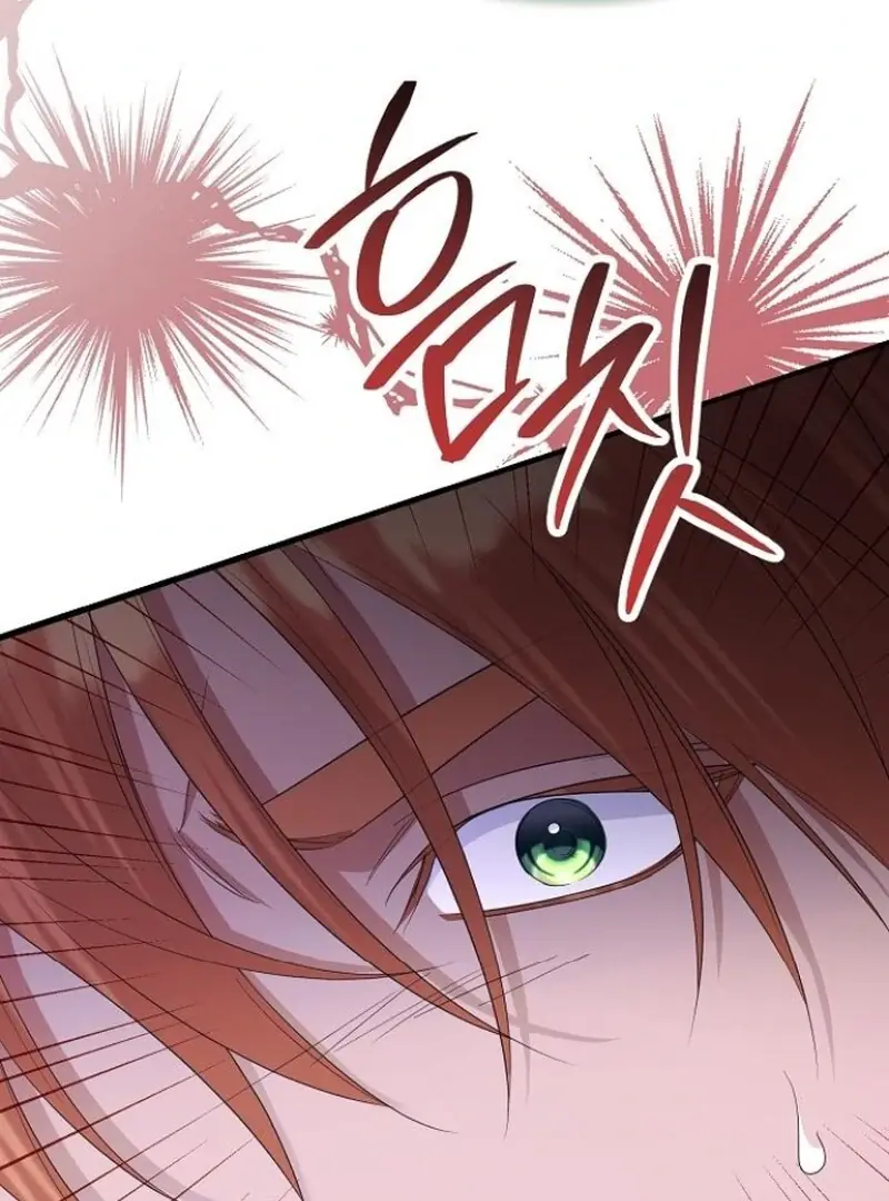 Adopted by a Murderous Duke Family Chapter 80 Page 80