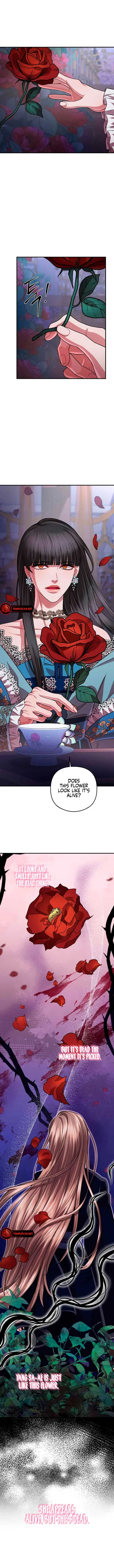 All About Dominative and Exclusive Destruction Chapter 40 Page 6