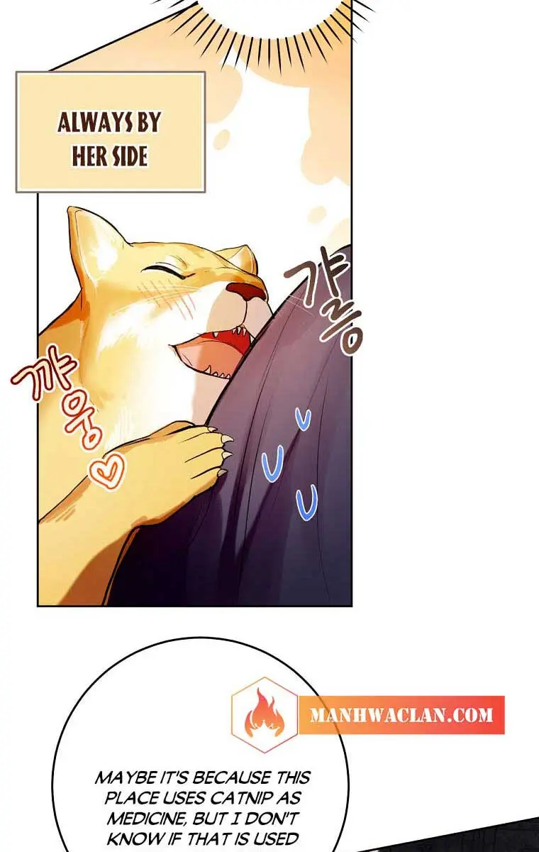 Being a Wicked Woman is Comfortable and Pleasant Chapter 12 Page 14