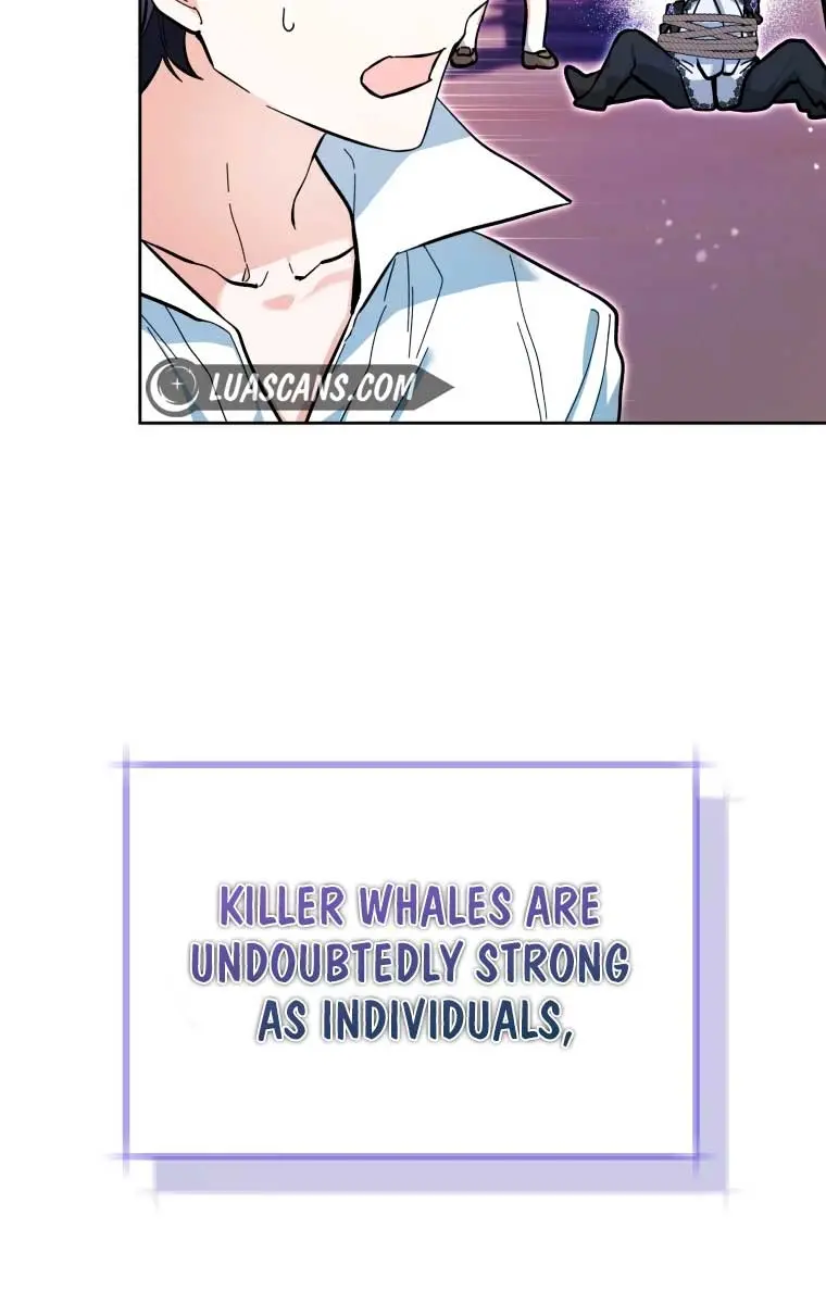 'Cause Calypso Can Chapter 17 Page 12