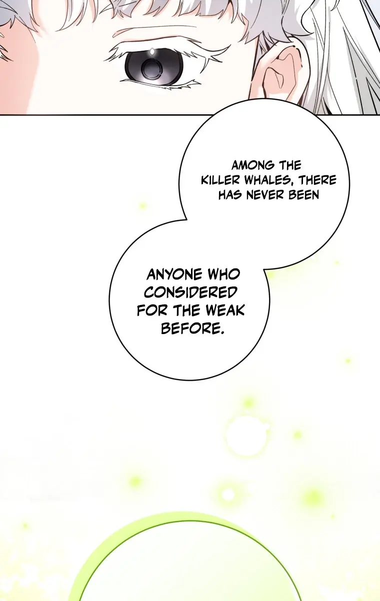 'Cause Calypso Can Chapter 25 Page 106