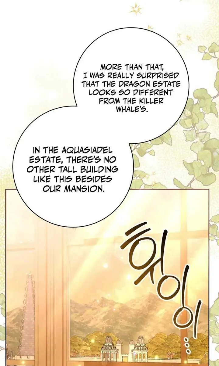 'Cause Calypso Can Chapter 41 Page 29