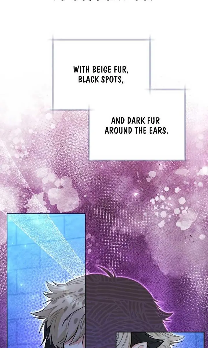 'Cause Calypso Can Chapter 42 Page 3
