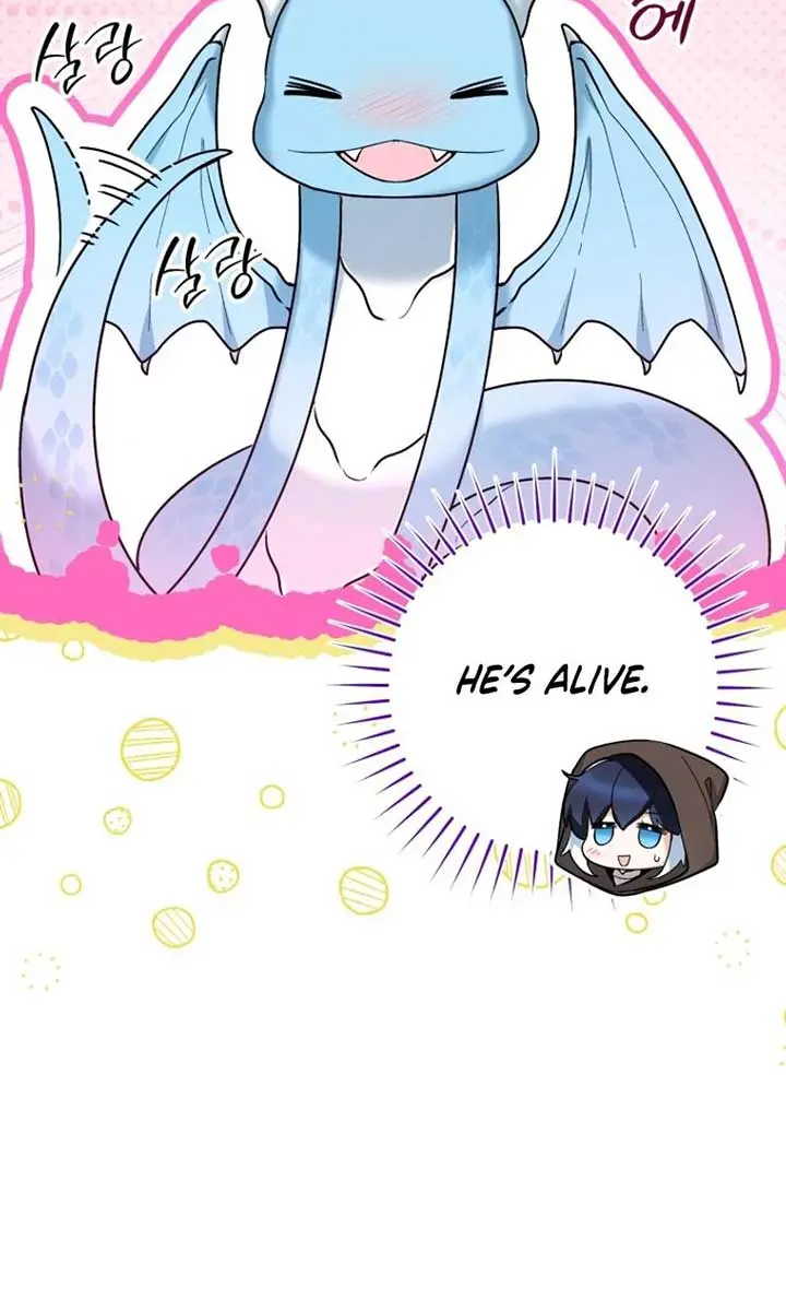 'Cause Calypso Can Chapter 42 Page 44