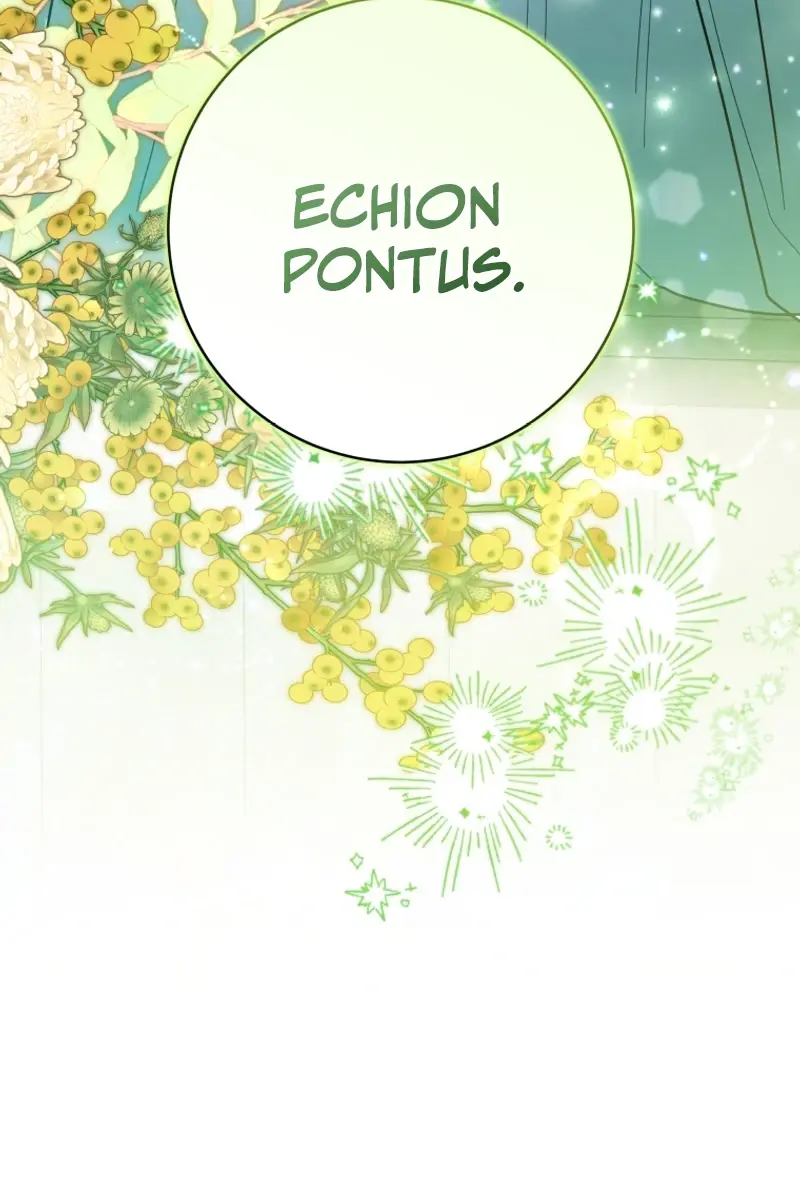 'Cause Calypso Can Chapter 47 Page 102