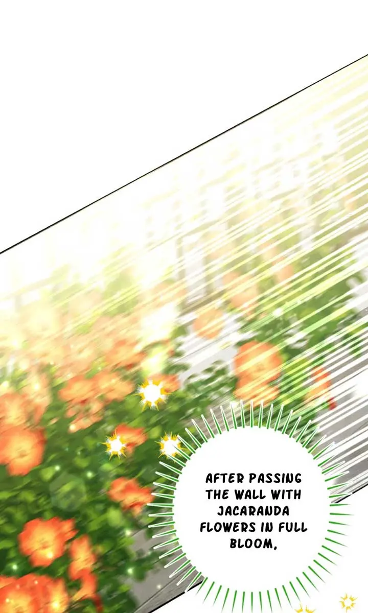 'Cause Calypso Can Chapter 48 Page 115