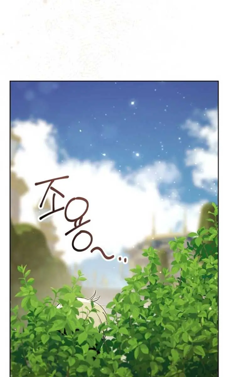 'Cause Calypso Can Chapter 55 Page 12