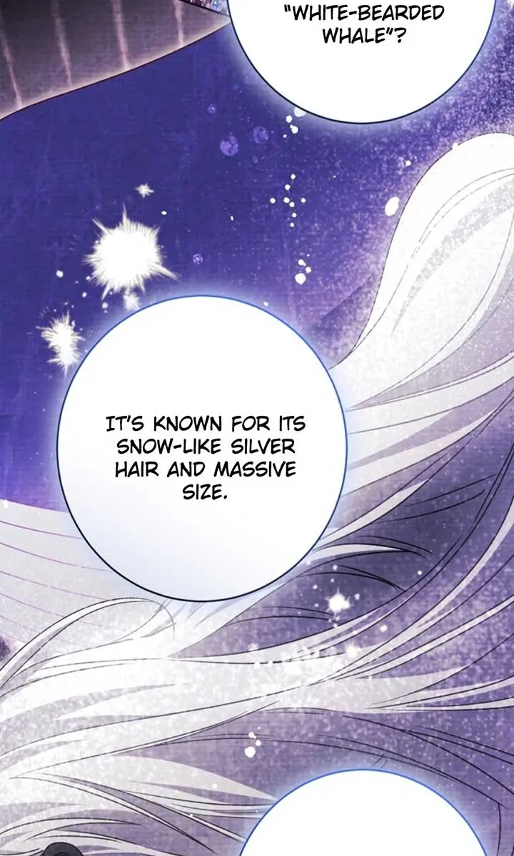'Cause Calypso Can Chapter 70 Page 102