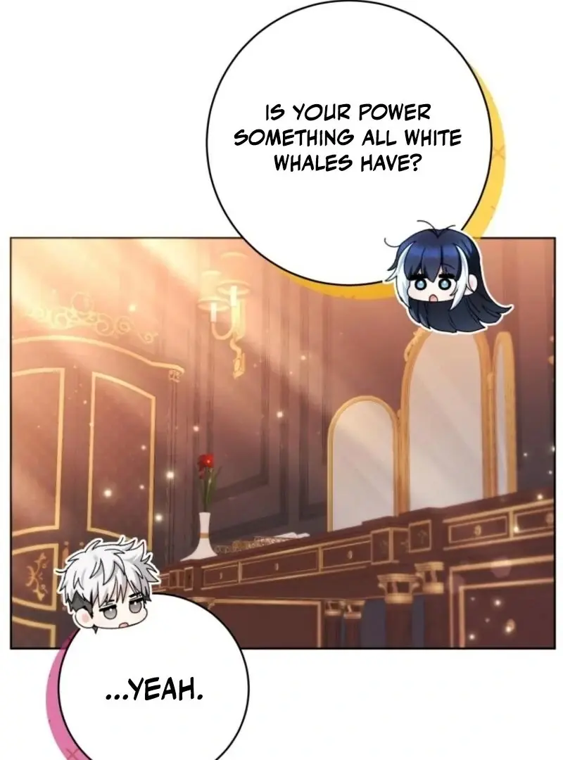 'Cause Calypso Can Chapter 72 Page 134