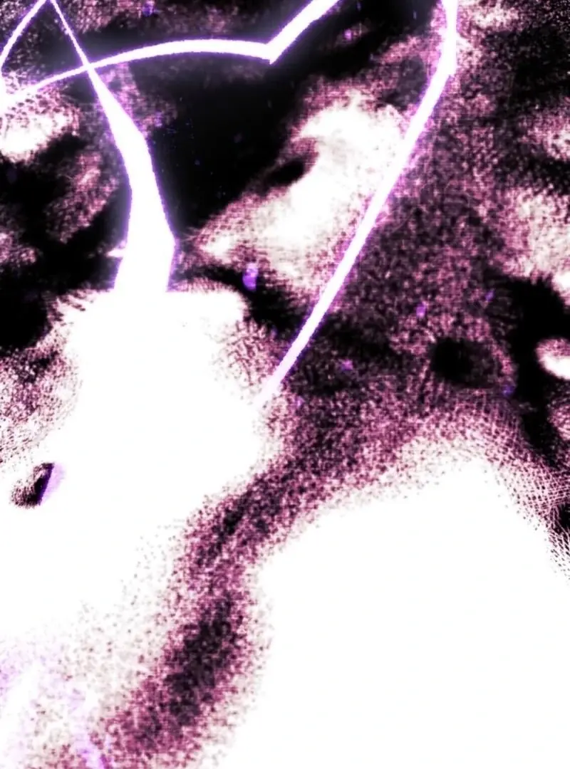 'Cause Calypso Can Chapter 75 Page 49
