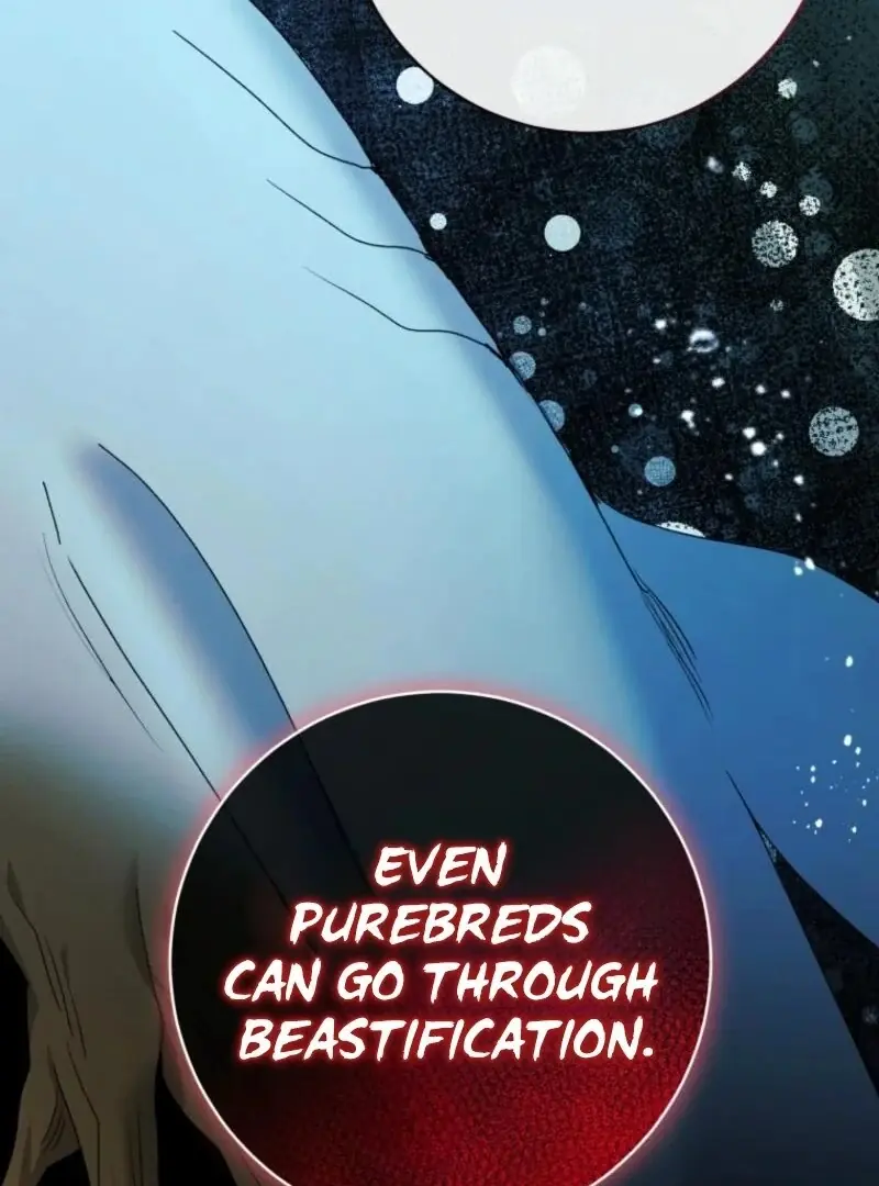 'Cause Calypso Can Chapter 78 Page 73