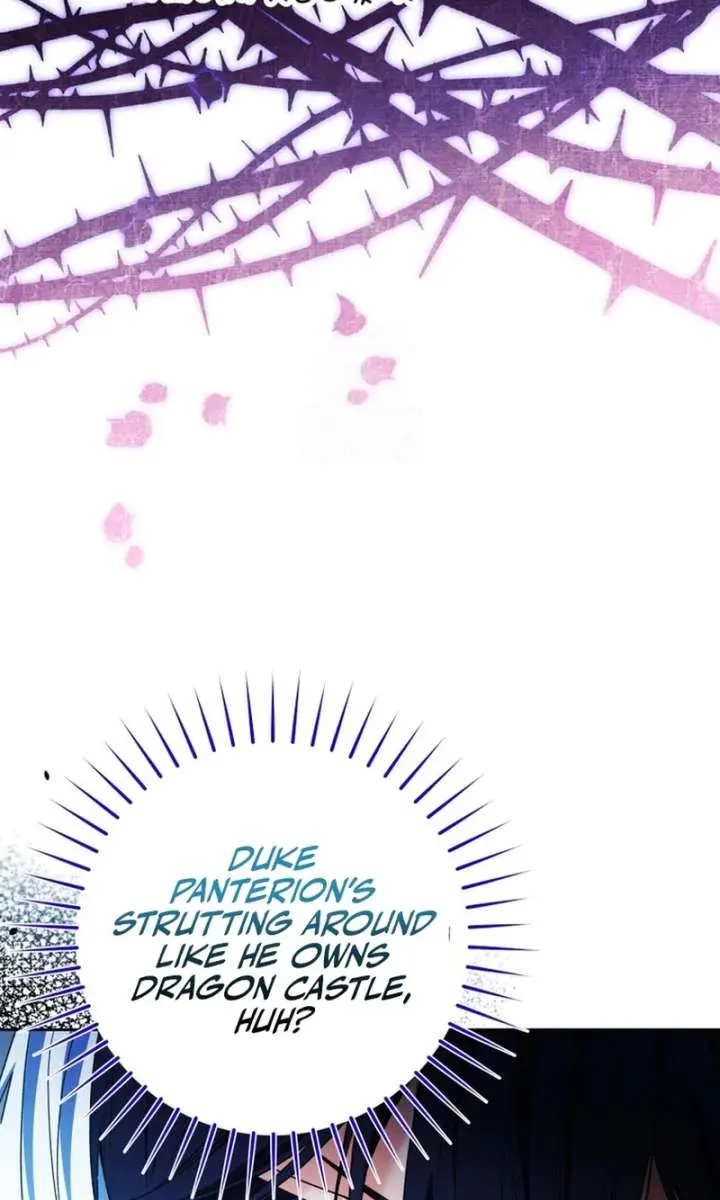 'Cause Calypso Can Chapter 80 Page 52