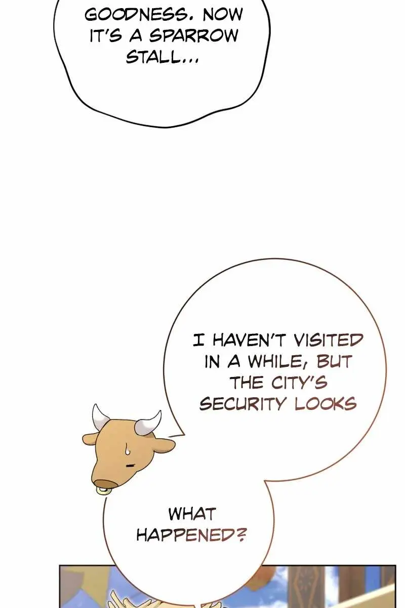 'Cause Calypso Can Chapter 81 Page 43
