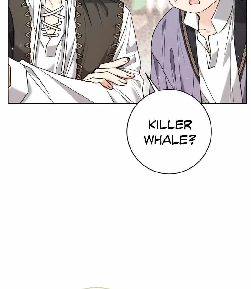 'Cause Calypso Can Chapter 81 Page 70