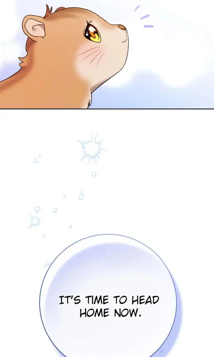 'Cause Calypso Can Chapter 82 Page 50