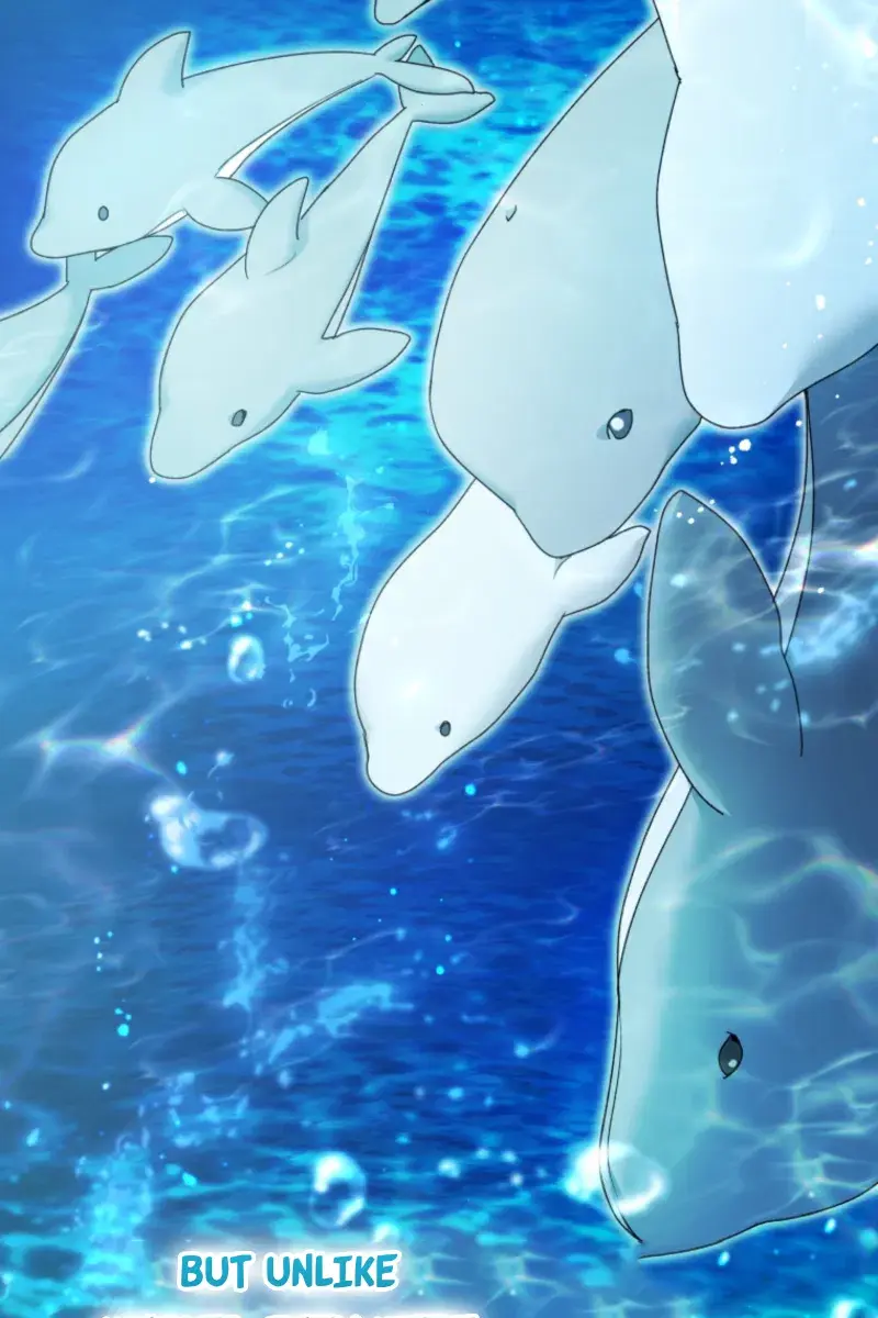 'Cause Calypso Can Chapter 91 Page 77
