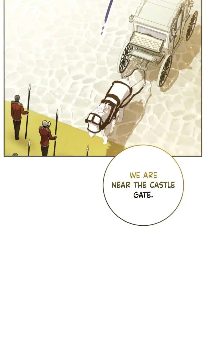 'Cause Calypso Can Chapter 94 Page 84