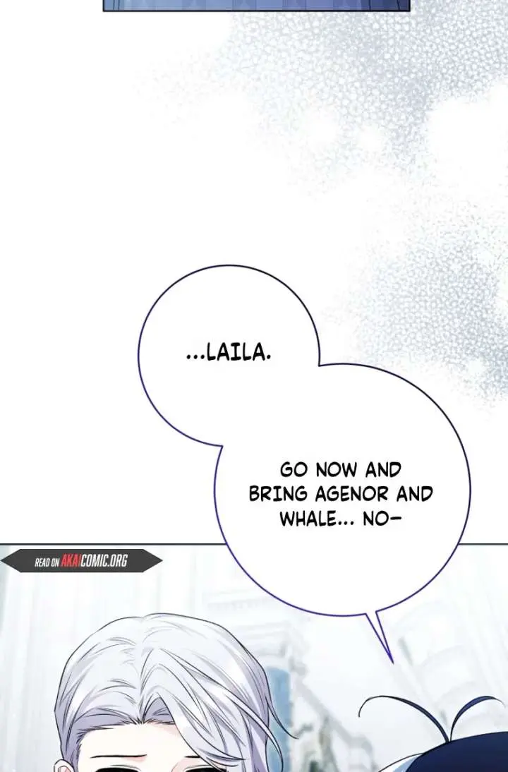 'Cause Calypso Can Chapter 99 Page 43