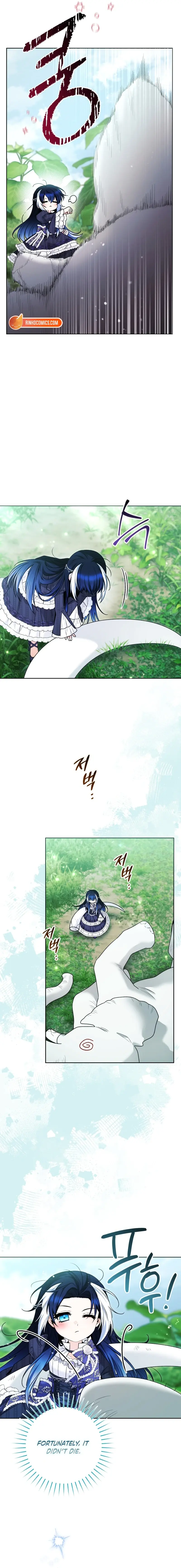 'Cause Calypso Can Chapter 104 Page 5
