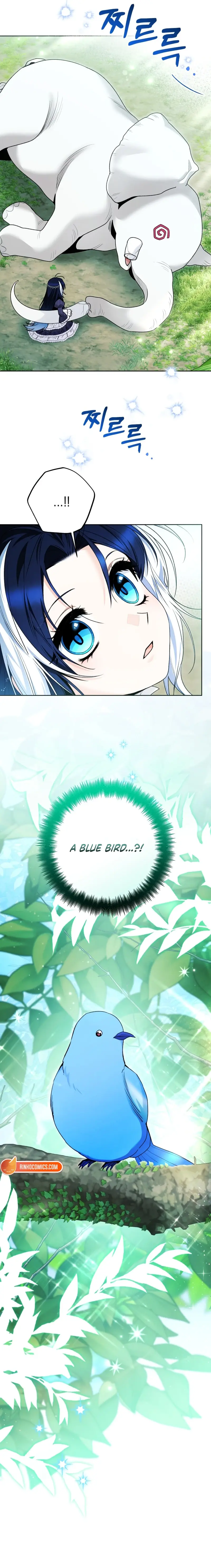 'Cause Calypso Can Chapter 104 Page 6