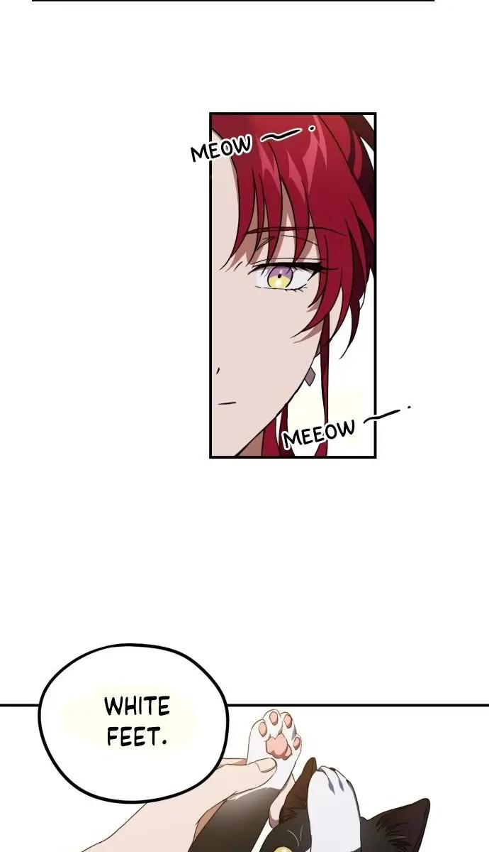 Blinded by the Setting Sun Chapter 37 Page 43