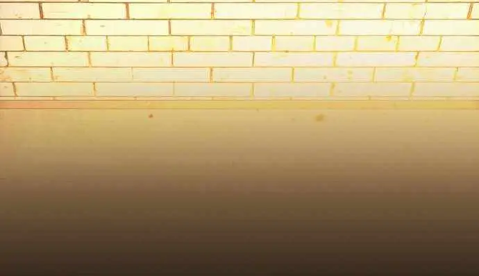 Blinded by the Setting Sun Chapter 85 Page 63