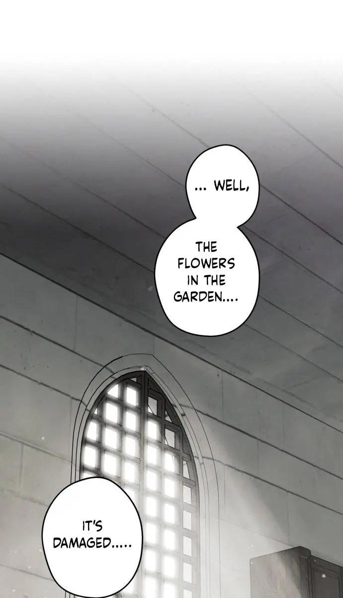 Blinded by the Setting Sun Chapter 101 Page 77