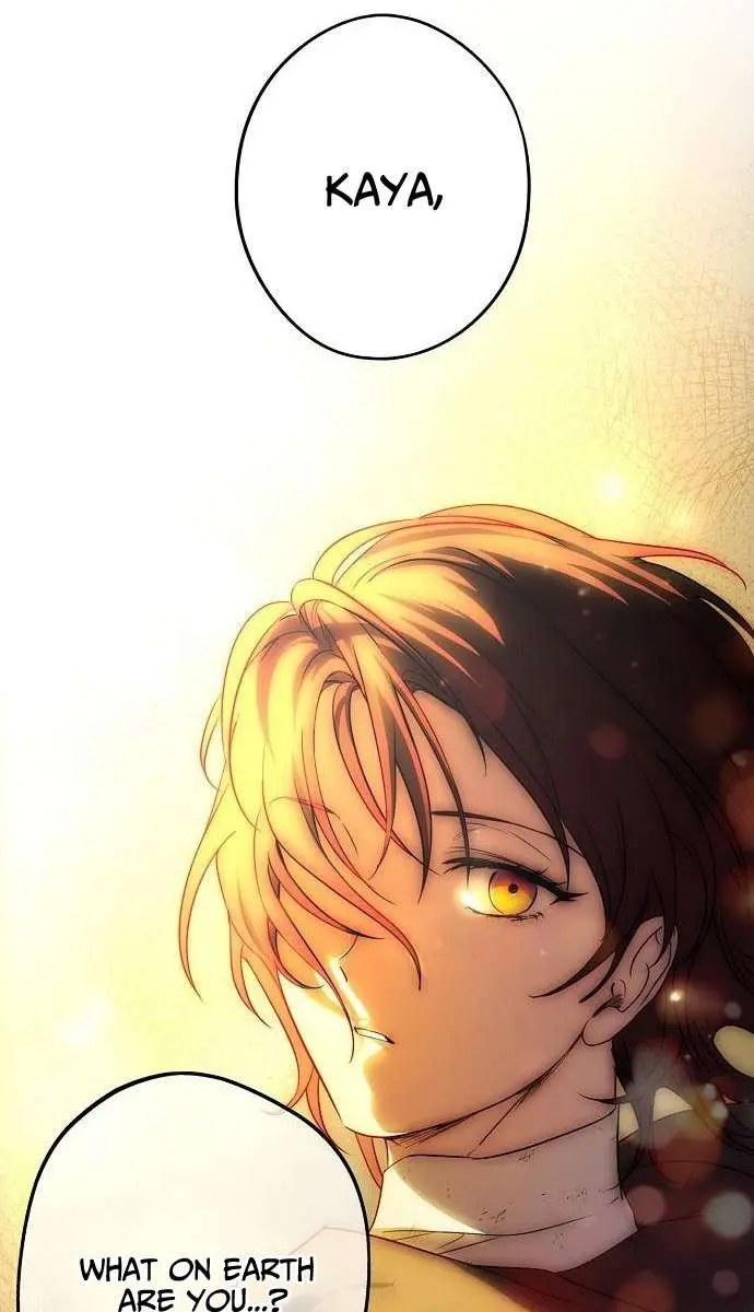 Blinded by the Setting Sun Chapter 148 Page 43