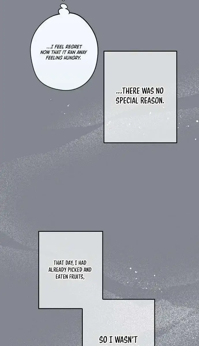 Blinded by the Setting Sun Chapter 157 Page 31
