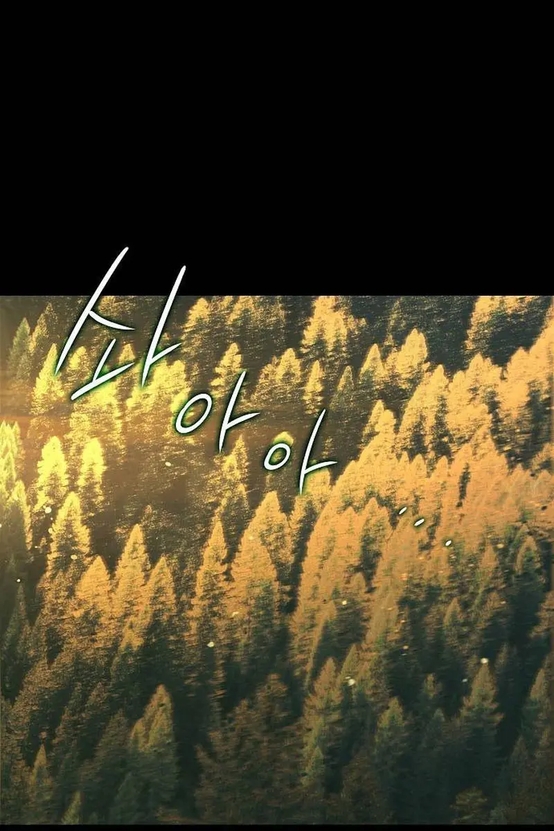 Blinded by the Setting Sun Chapter 158 Page 42