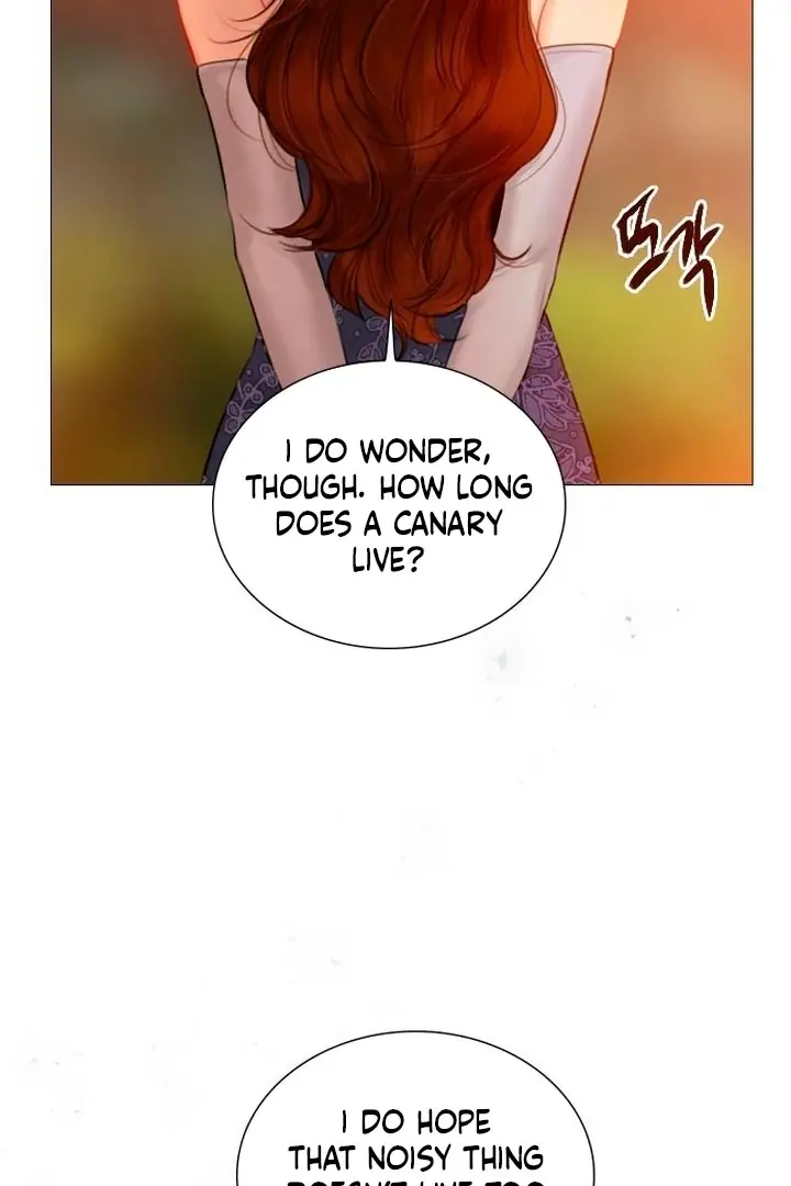 Cry, Even Better If You Beg Chapter 65 Page 95