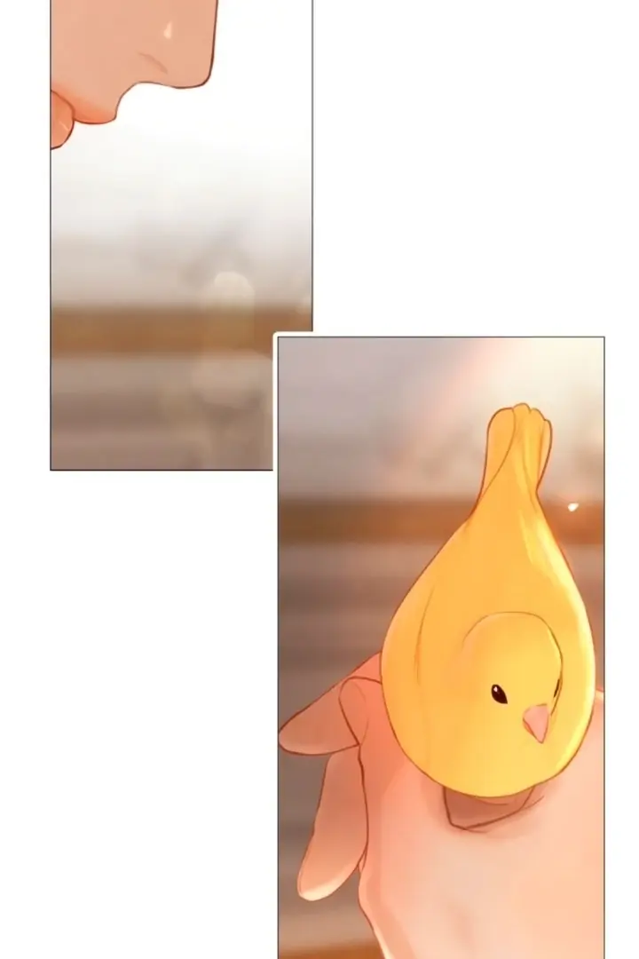 Cry, Even Better If You Beg Chapter 68 Page 47