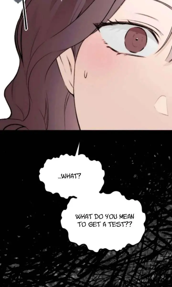 Divorce Is Easy, but Love Is Hard Chapter 56 Page 12