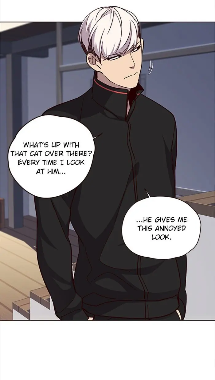 Eleceed Chapter 35 Page 19
