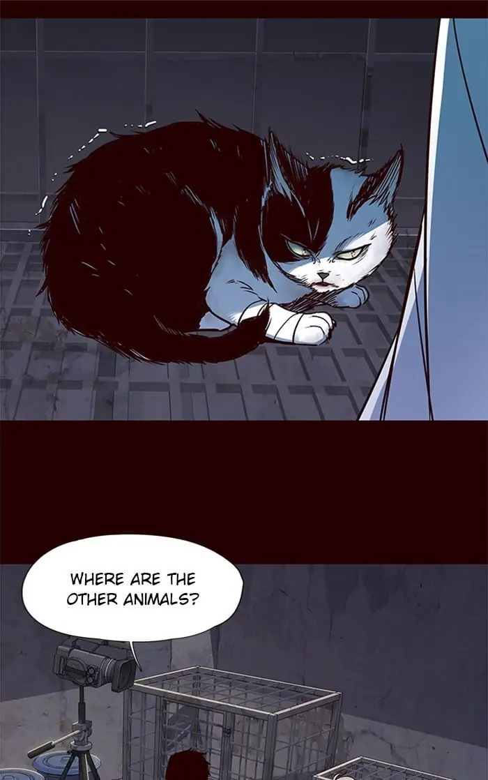 Eleceed Chapter 36 Page 11
