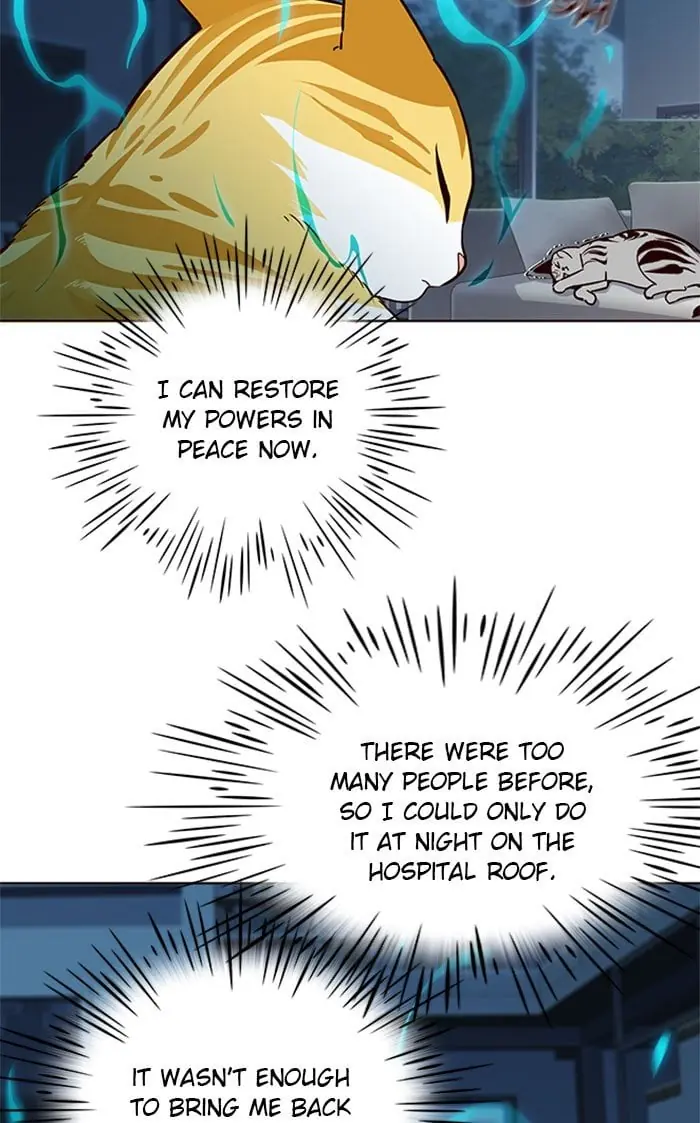 Eleceed Chapter 37 Page 45