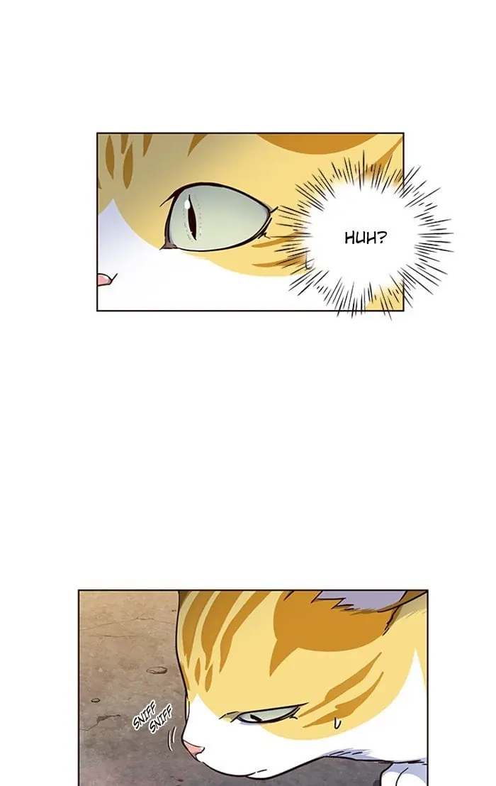 Eleceed Chapter 41 Page 51