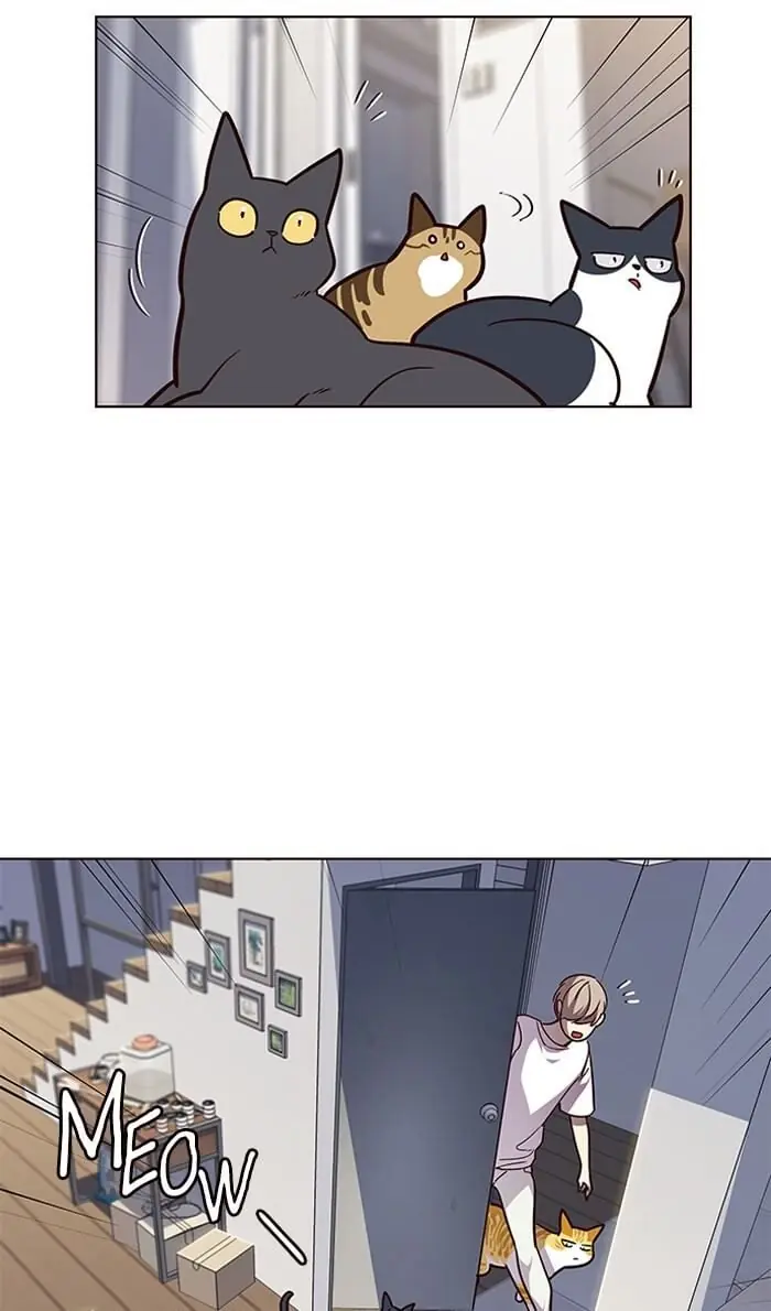 Eleceed Chapter 55 Page 12