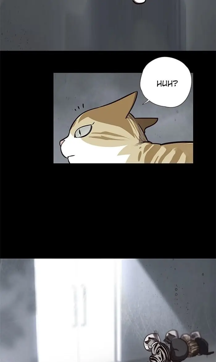 Eleceed Chapter 56 Page 4