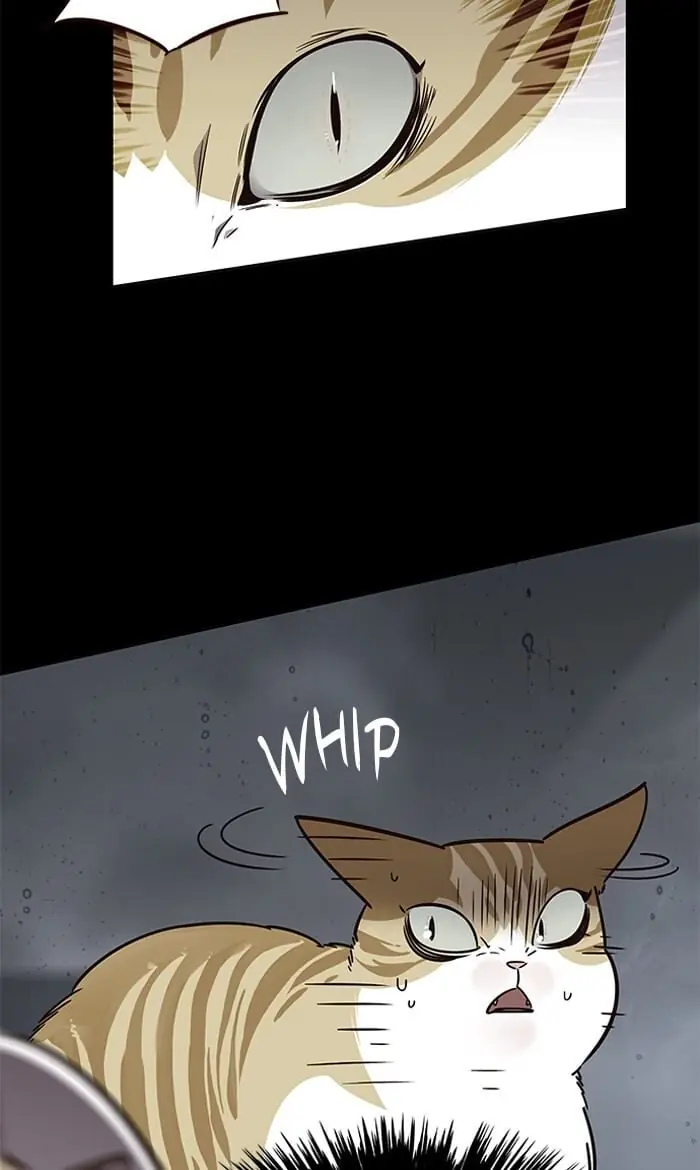 Eleceed Chapter 56 Page 10