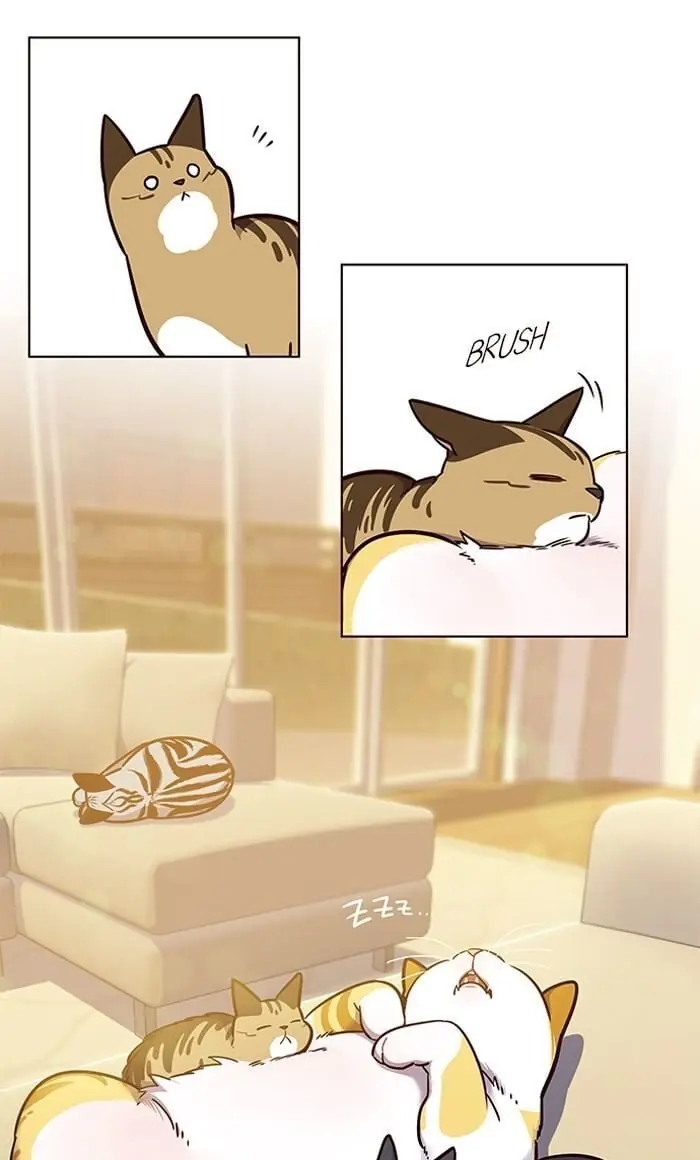 Eleceed Chapter 56 Page 22