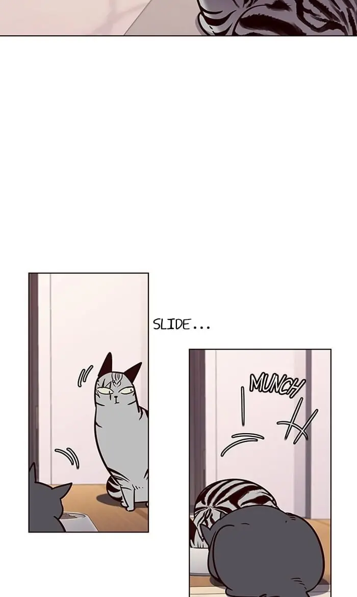 Eleceed Chapter 56 Page 60