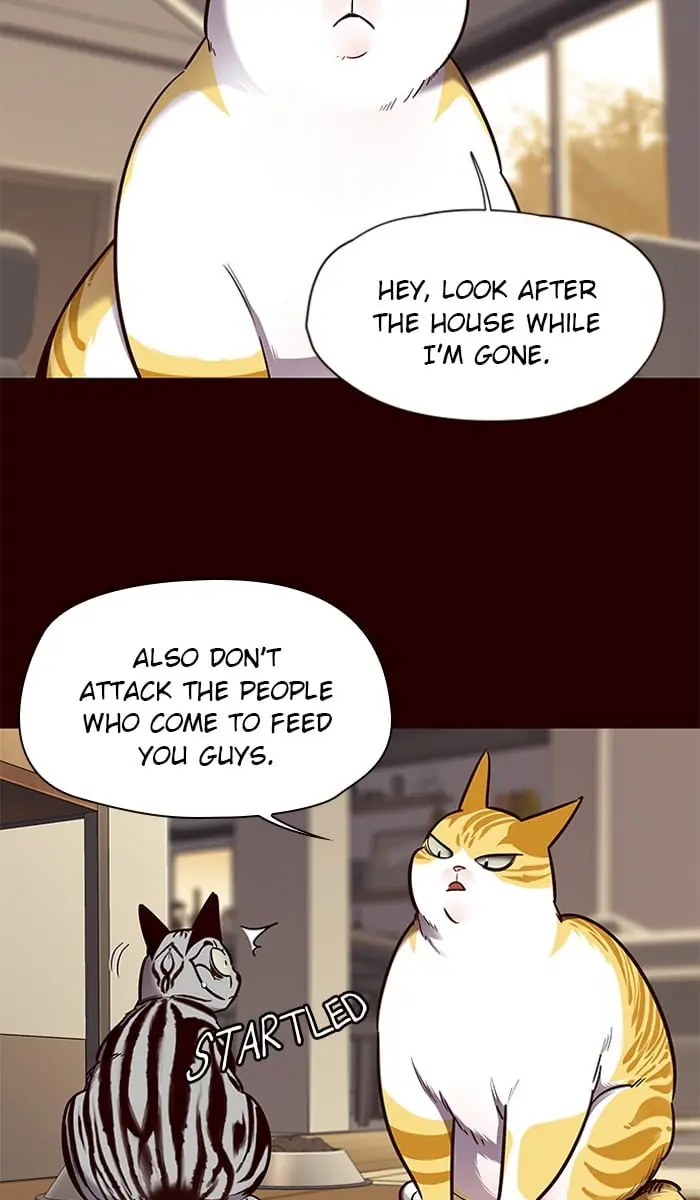 Eleceed Chapter 67 Page 36