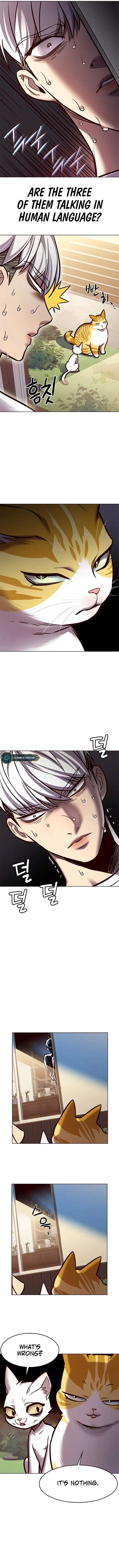 Eleceed Chapter 280 Page 8
