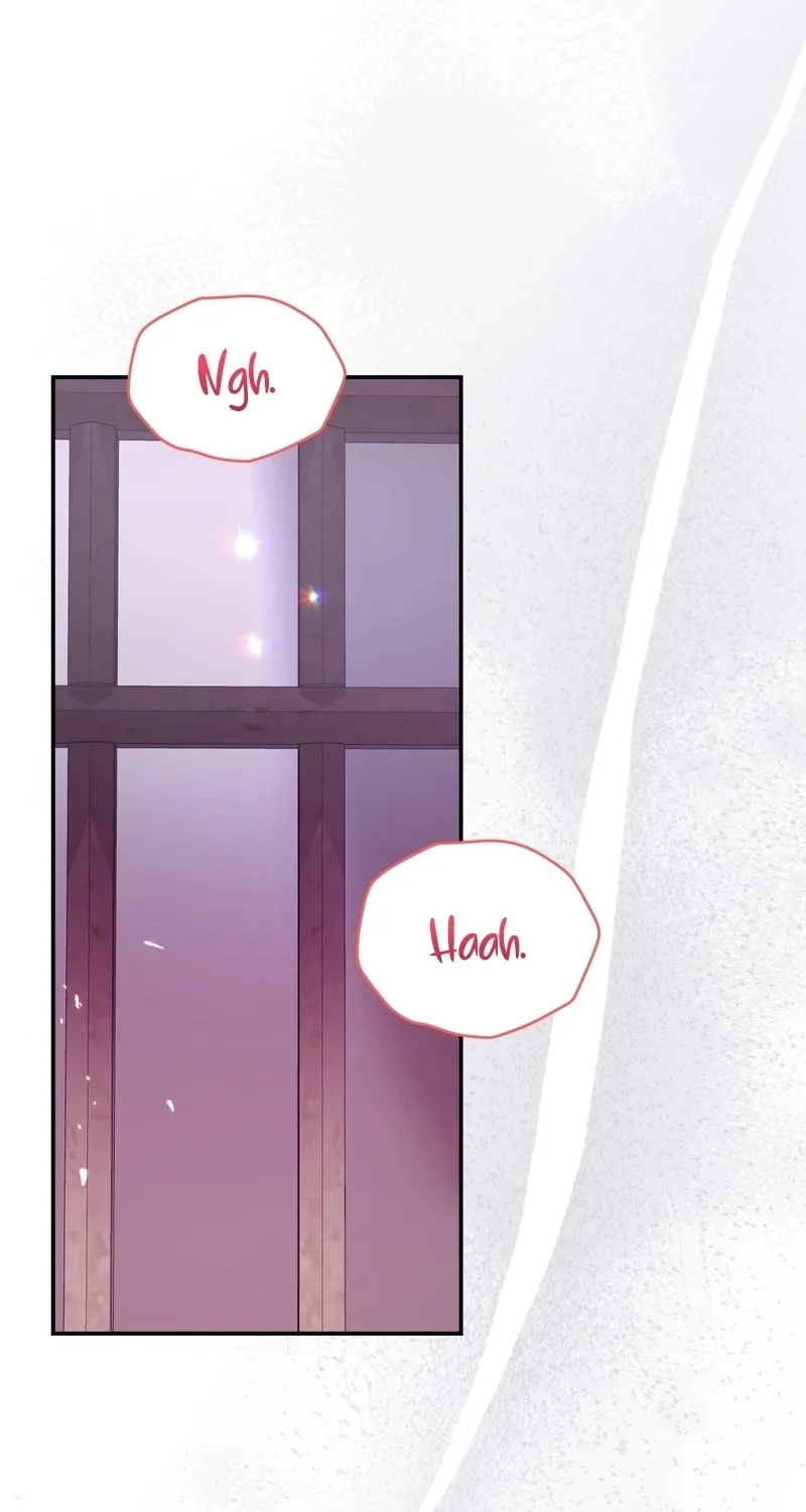 Five Husbands Appeared on My Birthday Chapter 0 Page 2