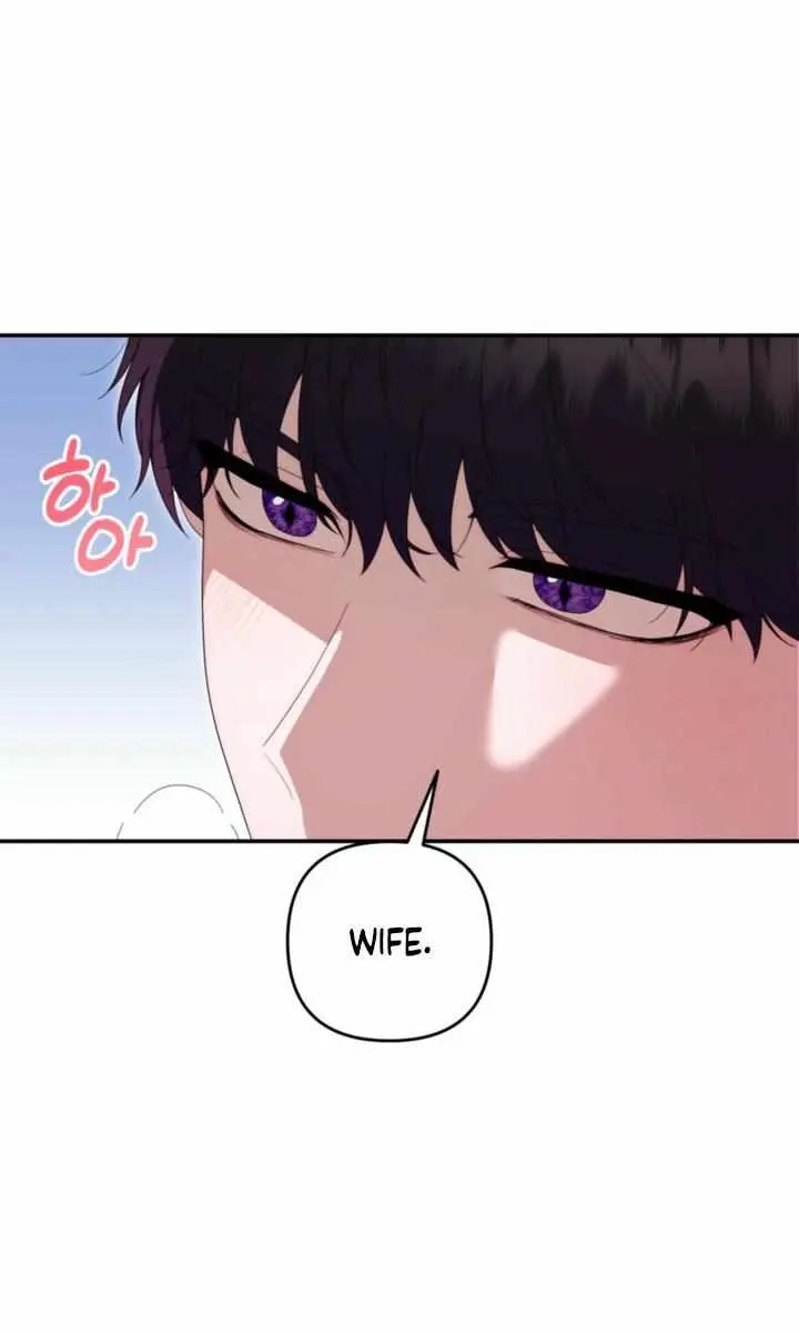 Five Husbands Appeared on My Birthday Chapter 12 Page 33